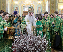 Неделя ваий, Вход Господень в Иерусалим