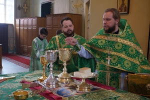 Вход Господень в Иерусалим (Вербное воскресенье)