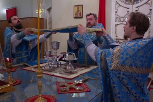 Праздник Введения во храм Пресвятой Богородицы
