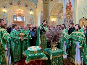 Праздник Входа Господня в Иерусалим. Вербное Воскресенье
