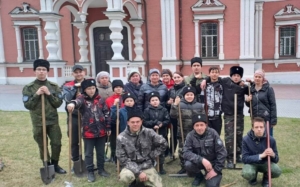 Волонтерская помощь